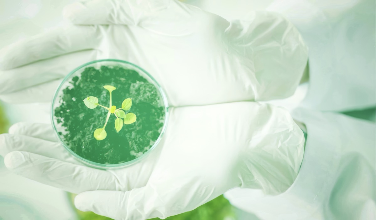 Serendip innovations-01