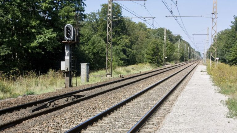 Halte Fontainebleau - Forêt