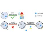 React Therapeutics-01