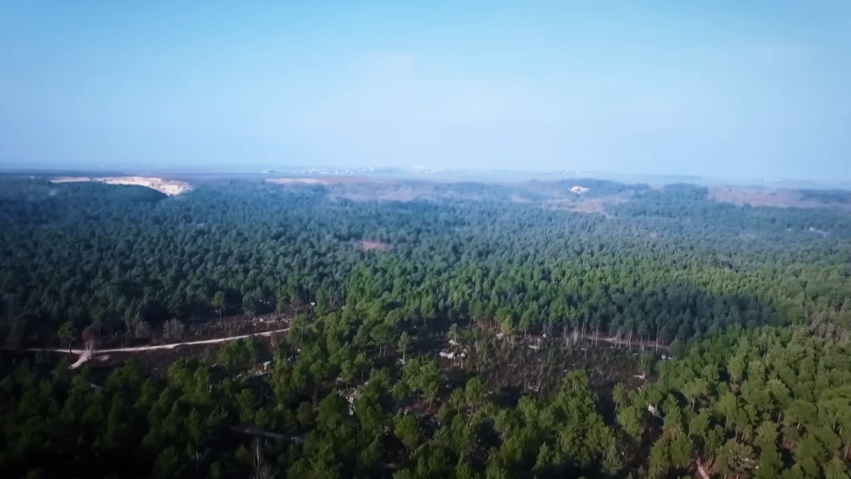fontainebleau 01